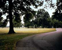 A road on the grounds of Riversdale Mansion