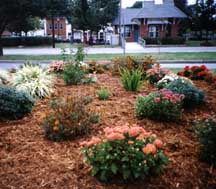 Picture of a flower bed maintained by Public Works